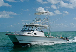 Salt Adventures - Key West Fishing Charter